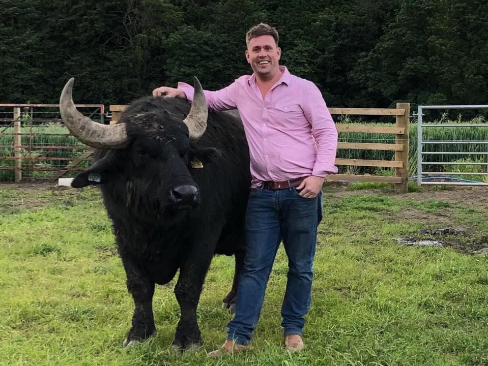 Steve of the Buffalo Farm, with buffalo!