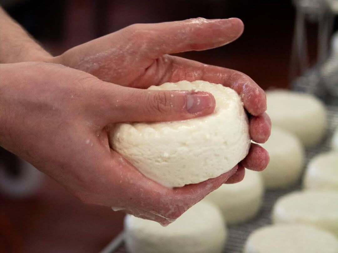 Making cheese at the Strathearn Cheese Co